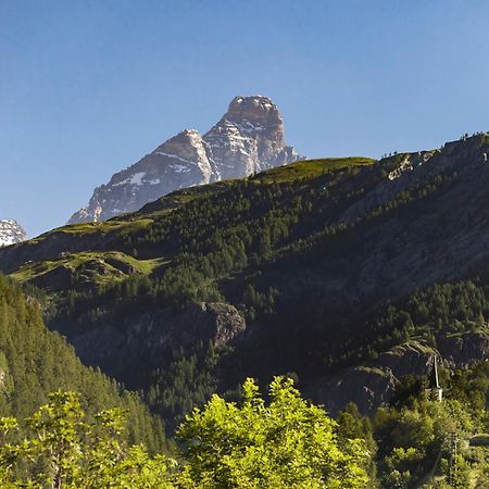 Chalet Matterhorn Francois - Central Ski Chalet With Spa And Breakfast, 100Mt Lift Брей-Червиния Экстерьер фото